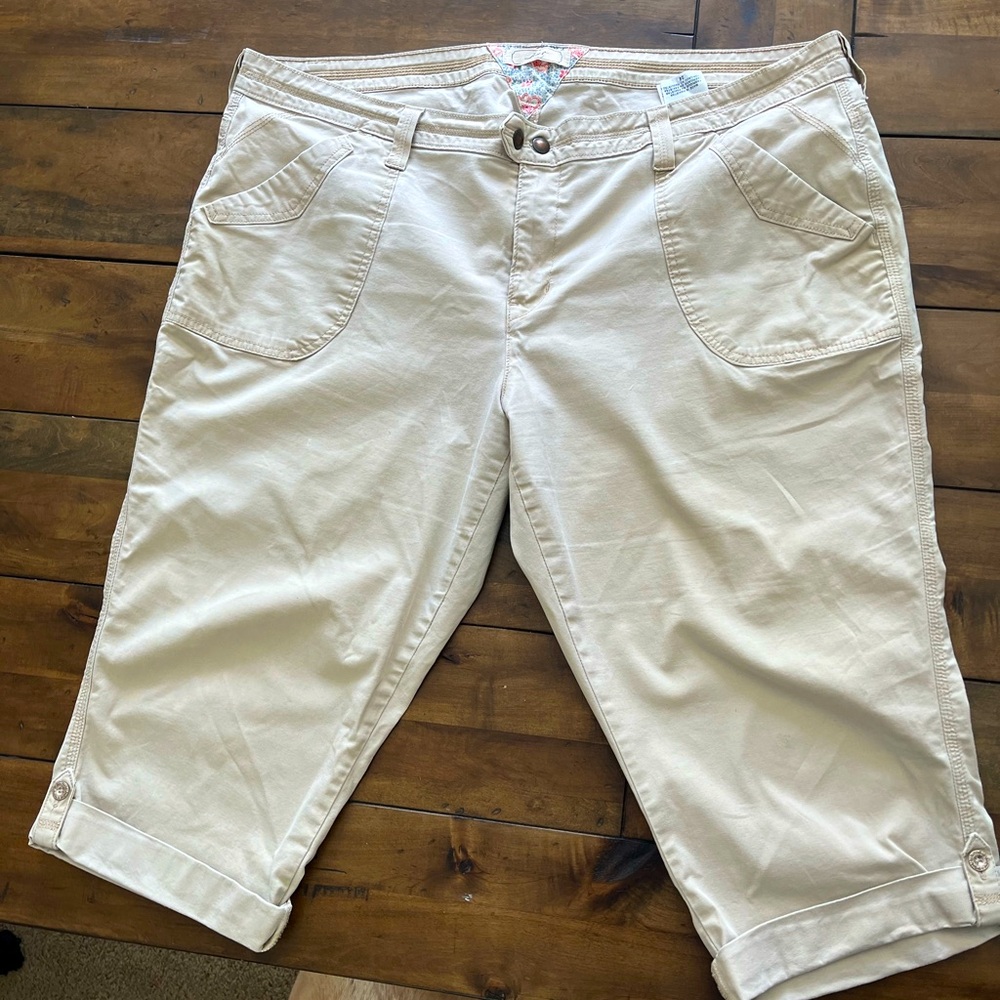 Levi’s Khaki Capri 24W